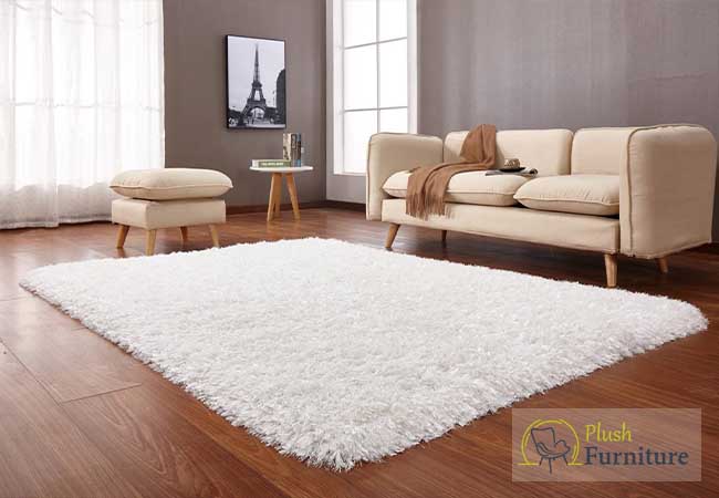 Shaggy Carpet for Living Room