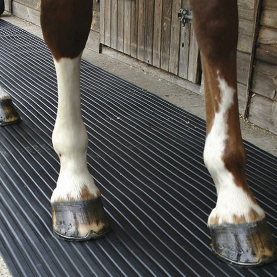 Versatile Horse Stall Mats Dubai