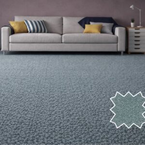 Wall to Wall carpet