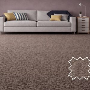 Wall to Wall Carpet