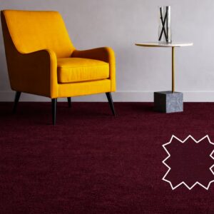Wall to Wall Carpet