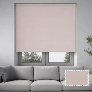 Ash Light Shield