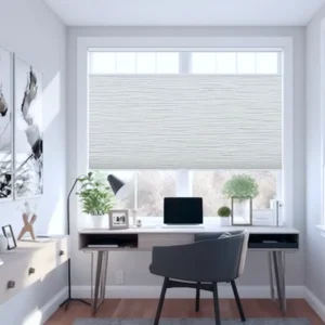 Office Blinds