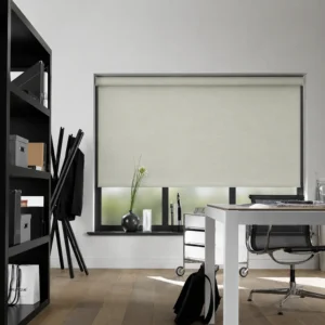 Office Blinds