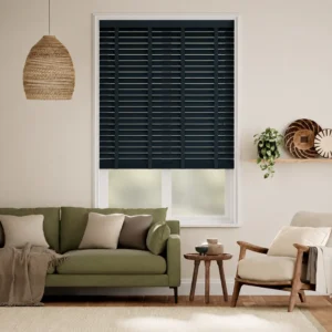 venetian blinds